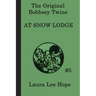 The Bobbsey Twins at Snow Lodge