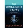 The Brilliant Abyss: Exploring the Majestic Hidden Life of the Deep Ocean, and the Looming Threat That Imperils It
