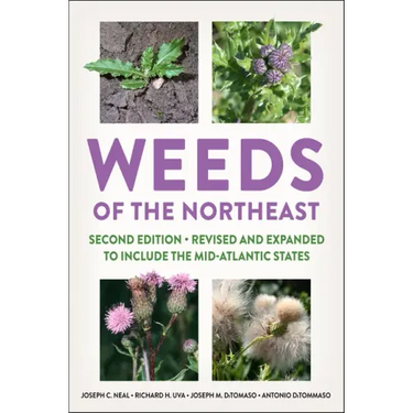 Weeds of the Northeast