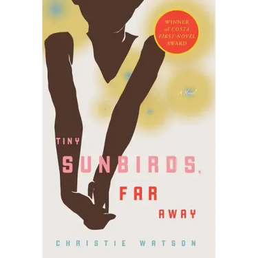 Tiny Sunbirds, Far Away