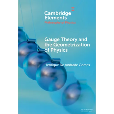 Gauge Theory and the Geometrisation of Physics
