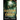 Ascension of the Chosen