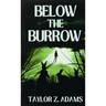 Below the Burrow: A Cosmic Horror Novella