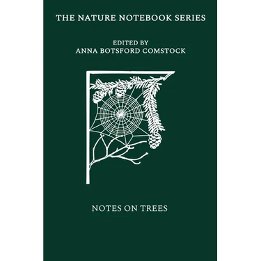 Notes on Trees