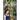 The Secret in Mossy Swamp