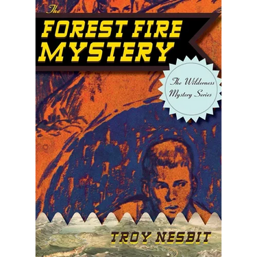 The Forest Fire Mystery
