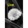 Live: Experience Christ's Life