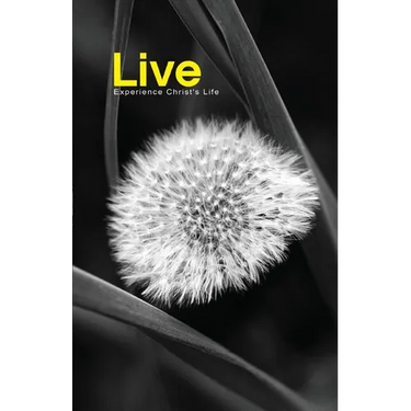 Live: Experience Christ's Life
