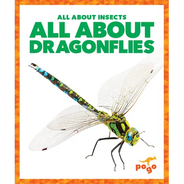 All about Dragonflies