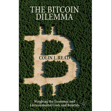 The Bitcoin Dilemma: Weighing the Economic and Environmental Costs and Benefits