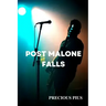 Post Malone Falls