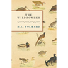 The Wildfowler - A Treatise on Fowling, Ancient and Modern (History of Shooting Series - Wildfowling)