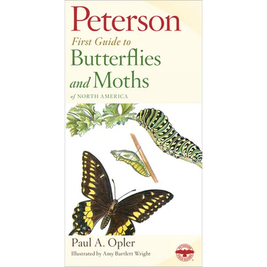 Peterson First Guide to Butterflies and Moths