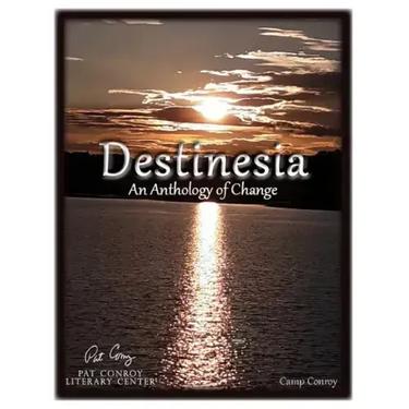 Destinesia: An Anthology of Change
