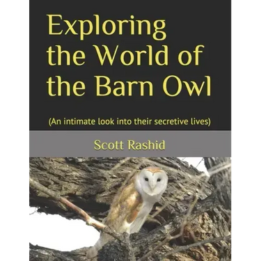 Exploring the World of the Barn Owl: (An intimate look into their secretive lives)