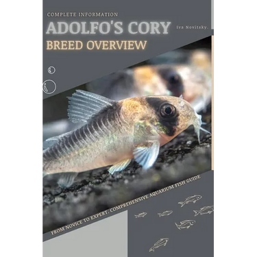 Adolfo's Cory: From Novice to Expert. Comprehensive Aquarium Fish Guide