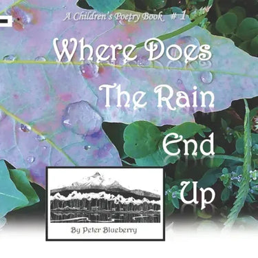 Where does the Rain end up