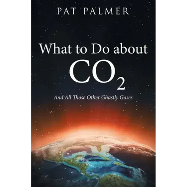 What to Do About Co2: And All Those Other Ghastly Gases