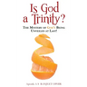 Is God a Trinity?: The Mystery of God's Being Unveiled at Last!