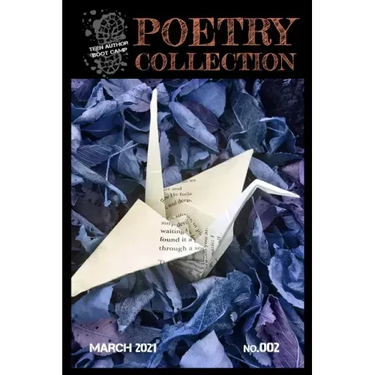 Teen Author Boot Camp Poetry Collection: Volume 2