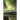 Waters of the Dancing Sky