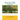 Facts on Citrus Trees and Their Diseases: Citrus Tree Culture