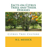 Facts on Citrus Trees and Their Diseases: Citrus Tree Culture