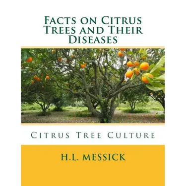 Facts on Citrus Trees and Their Diseases: Citrus Tree Culture