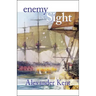 Enemy in Sight!