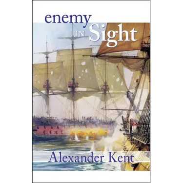 Enemy in Sight!