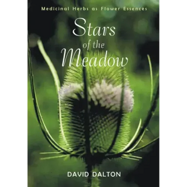 Stars of the Meadow: Medicinal Herbs as Flower Essences