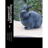 Commercial Rabbit Farming