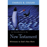An Introduction to the New Testament: Witnesses to God's New Work