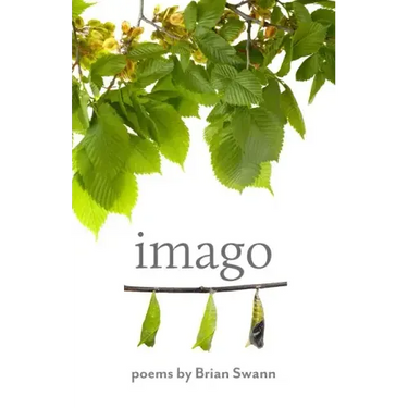 Imago
