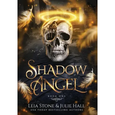 Shadow Angel: Book One