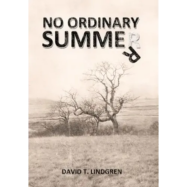 No Ordinary Summer