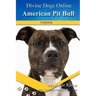 American Pit Bull Terriers