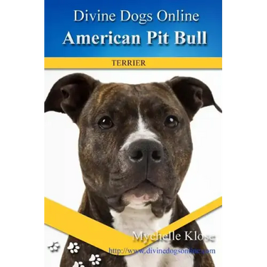 American Pit Bull Terriers