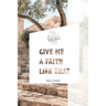 Give Me A Faith Like That: A Walk In The Footsteps Of Old Testament Saints