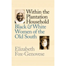 Within the Plantation Household: Black and White Women of the Old South