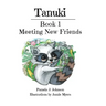 Tanuki: Meeting New Friends: Book 1