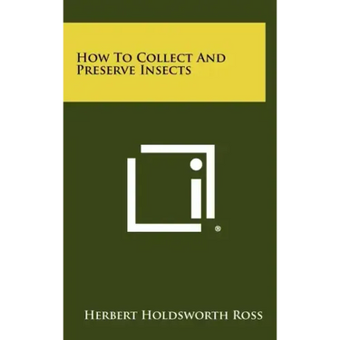 How To Collect And Preserve Insects