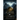 Gate of Stars