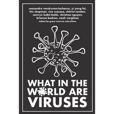 What in the World are Viruses