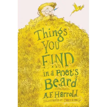 Things You Find in a Poet's Beard