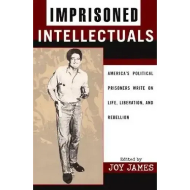 Imprisoned Intellectuals: America's Political Prisoners Write on Life, Liberation, and Rebellion