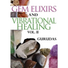 Gem Elixirs and Vibrational Healing Volume II