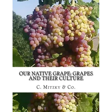 Our Native Grape: Grapes and Their Culture: A List of Old and New Grape Varieties