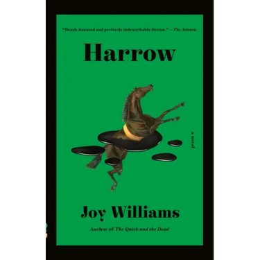 Harrow: A Novel (Kirkus Prize)