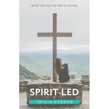 Spirit-Led: When You Follow God's Leading